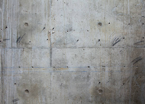 Best Concrete Grinding and Polishing in Pine Lakes, FL